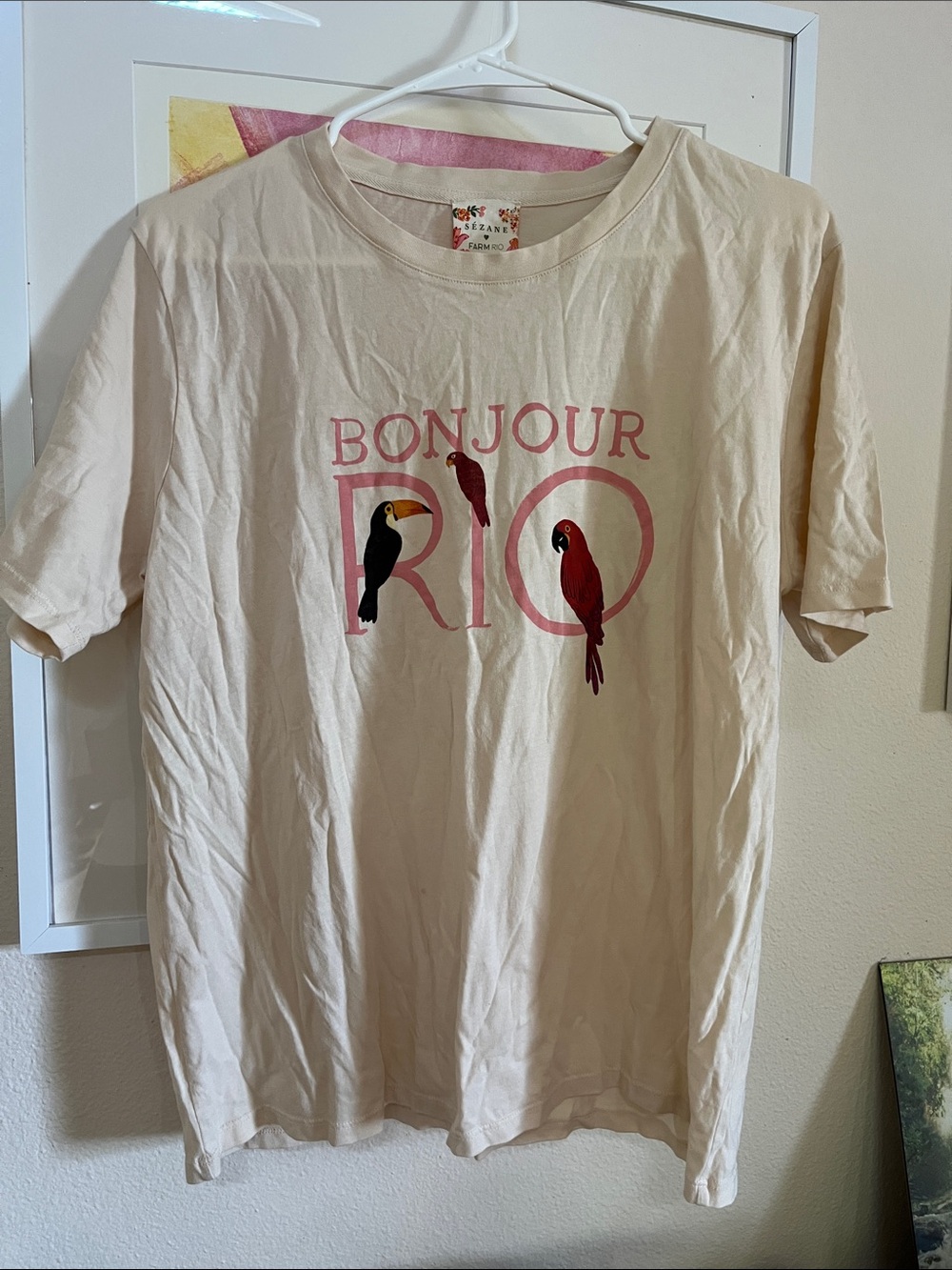 Sezane Cream Tee with Pink Bonjour Rio and Parrot Motif